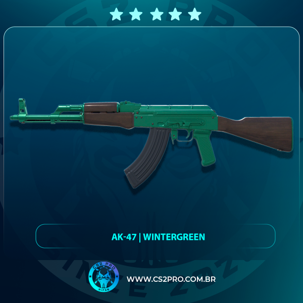 #2306 AK-47 | Wintergreen